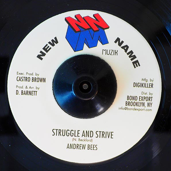 Andrew Bees - Struggle And Strive / Version