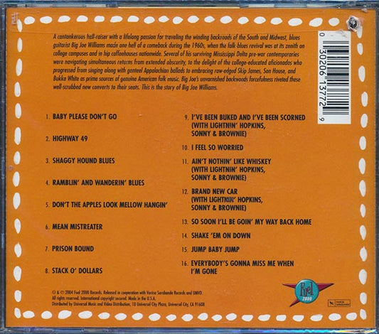 Big Joe Williams - Revisited (marked/ltd stock)