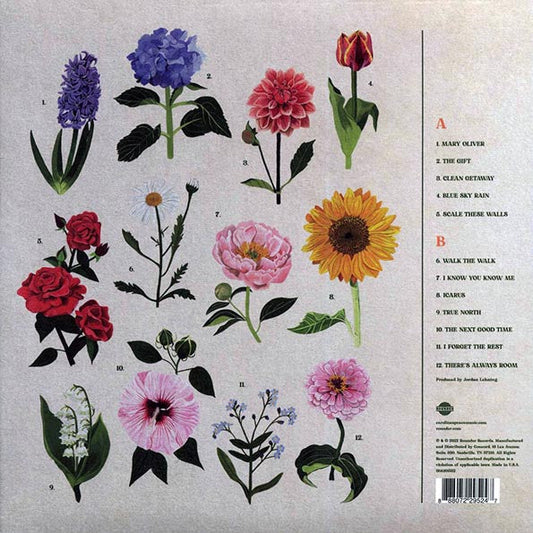 Caroline Spence - True North