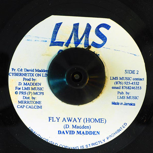 David Madden - Mystery Solver / David Madden - Fly Away Home