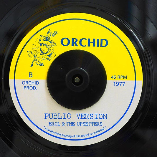 Errol Walker - John Public / The Upsetters - Version