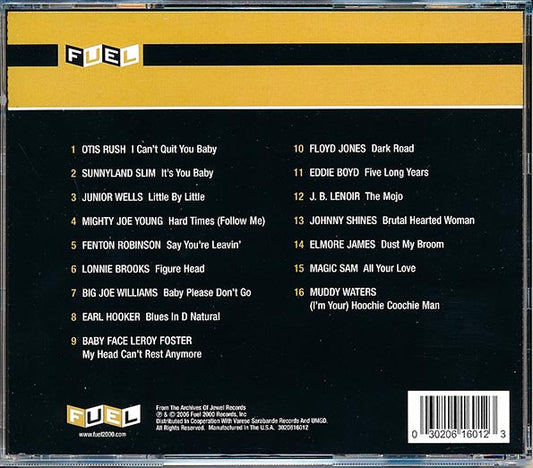 JB Lenoir, Elmore James, Muddy Waters, Big Joe Williams, Etc. - An Introduction To Chicago Blues (24-bit mastering) (remastered)