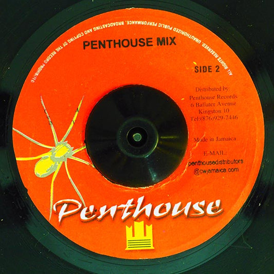 Sanchez - Love Is The Power / Version