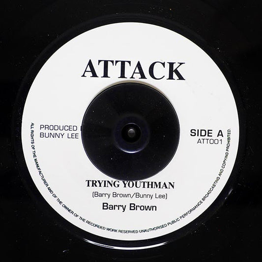 Barry Brown - Trying Youth Man  /  The Aggrovators - Version