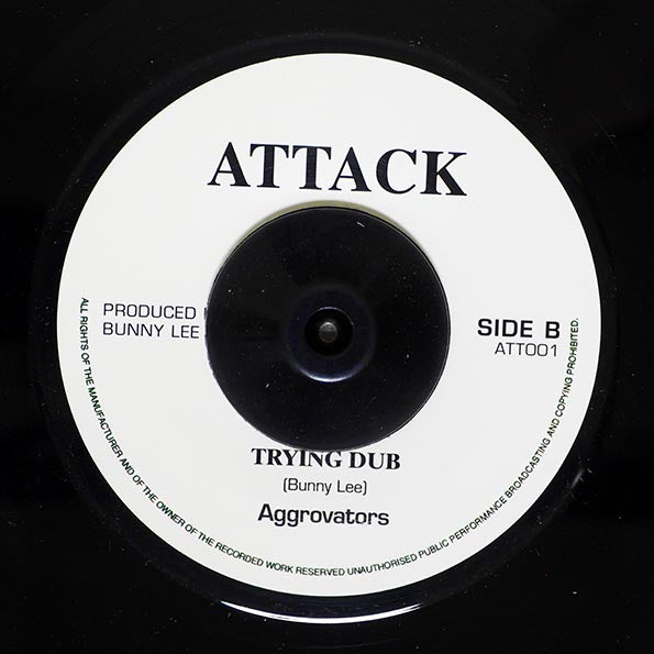 Barry Brown - Trying Youth Man  /  The Aggrovators - Version