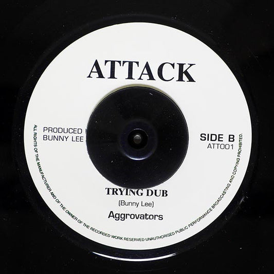 Barry Brown - Trying Youth Man  /  The Aggrovators - Version