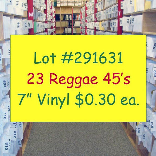 Beenie Man, Bounty Killer, Ricky General, Richie Spice, Seeed, Etc. - Lot #291631: Collection Of 23 7 Inch 45's (NEW)