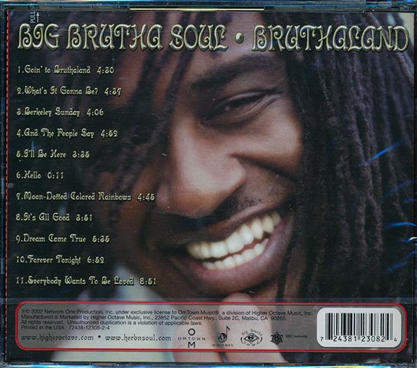 Big Brutha Soul - Bruthaland