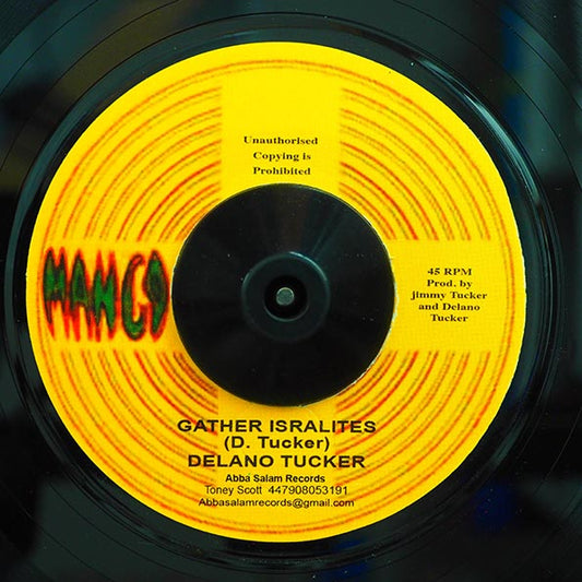 Delano Tucker - Gather Israelites  /  Gathering Dub