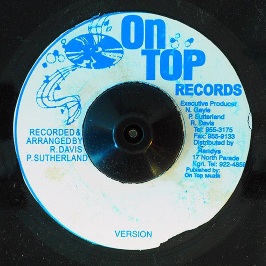 Earth & Stone - Too Much Praise  /  Version