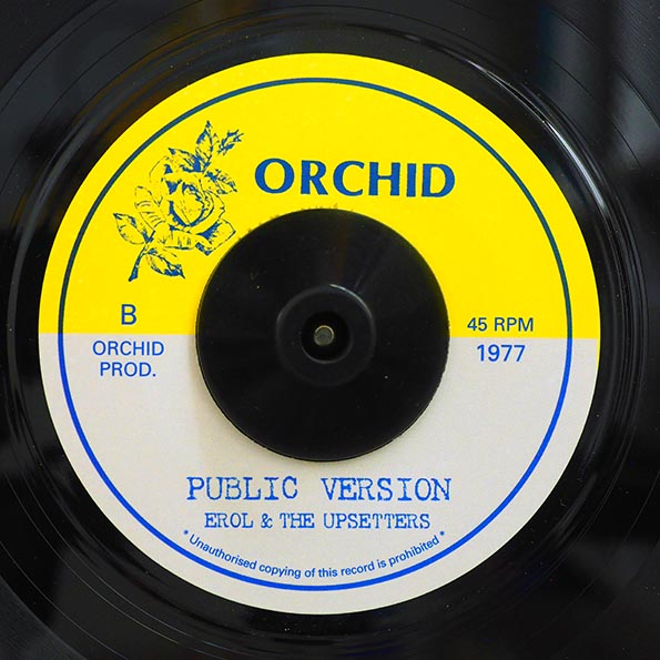 Errol Walker - John Public  /  The Upsetters - Version