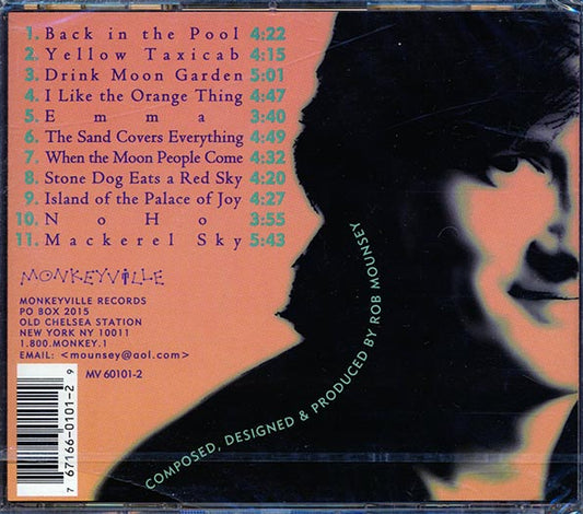 Flying Monkey Orchestra - Back In The Pool