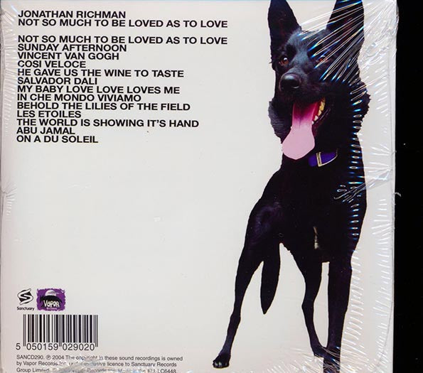 Jonathan Richman - Not So Much To Be Loved As To Love