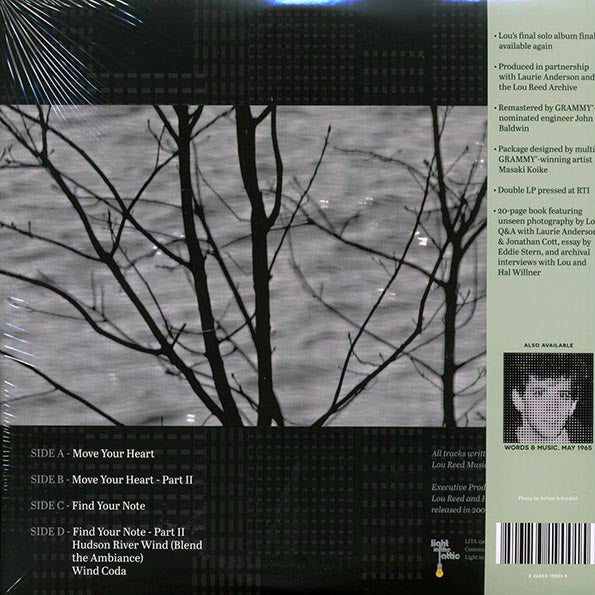Lou Reed - Hudson River Wind Meditations (2xLP) (coke bottle clear vinyl) (RTI press)