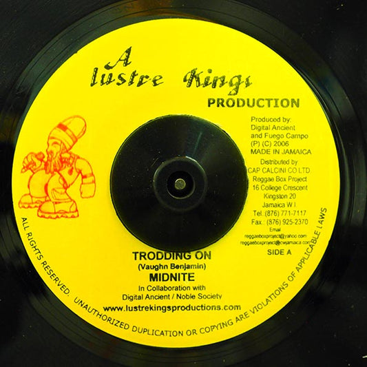 Midnite - Trodding On  /  Khari Kill - While I'm Living (rhythm: "New Day")