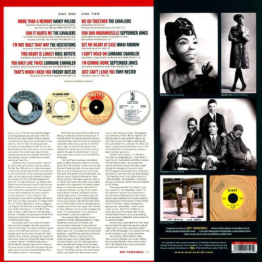 Nancy Wilcox, September Jones, The Cavaliers, Freddy Butler, Etc. - Pied Piper: The Pinnacle Of Detroit Northern Soul