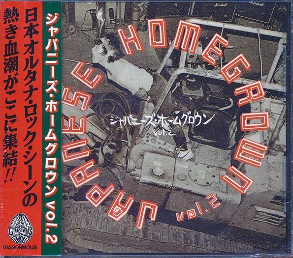 Nunchaku, Noiseramones, Pugs, Jasons, Super Junky Monkey, Etc. - Japanese Homegrown Volume 2 (incl. large booklet)