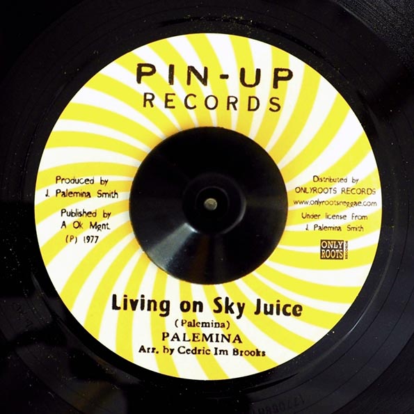 Palemina - Living On Sky Juice  /  Blood Relatives & Friends - Version