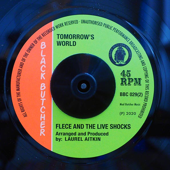 The Freedom Singers - Election  /  Fleece & The Live Shocks - Tomorrow's World