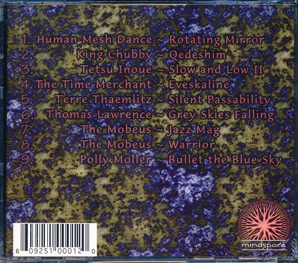 The Mobeus, King Chubby, The Time Merchant, Etc. - Distributed Shared Memory
