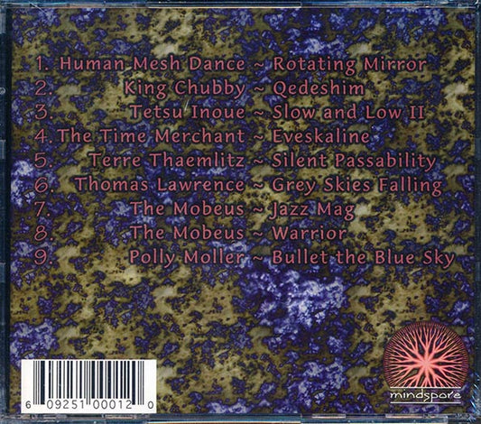 The Mobeus, King Chubby, The Time Merchant, Etc. - Distributed Shared Memory