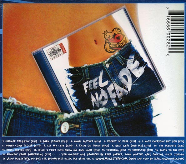 The Push Kings - Feel No Fade