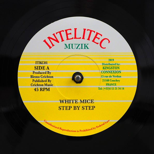 White Mice - Step By Step  /  Version (rhythm: "White Mice - Step By Step")
